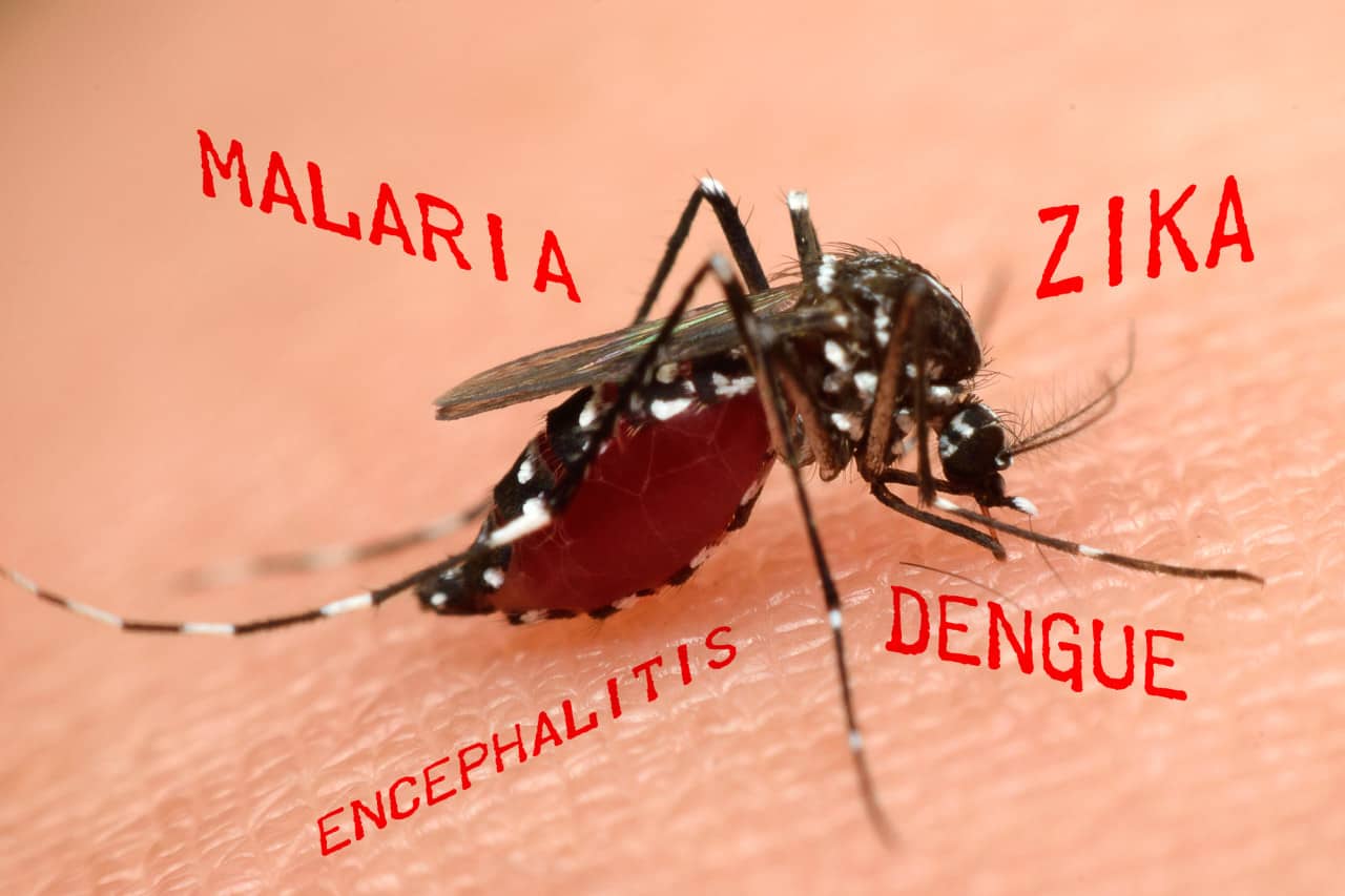 Lotta contro le zanzare