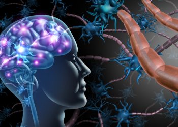 Cellule nervose cerebrali coinvolte nel processo che porta alla patologia della sclerosi multipla
