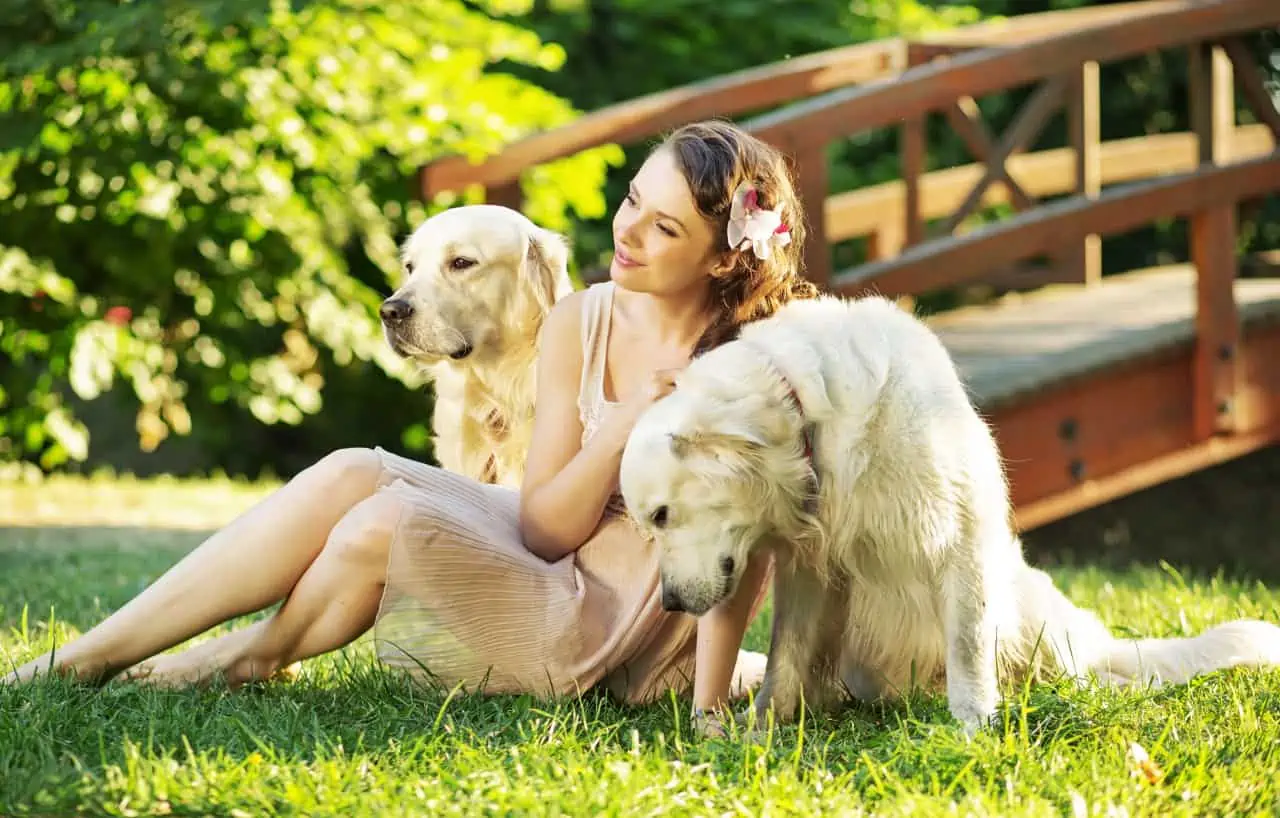 I cani rendono felici i padroni