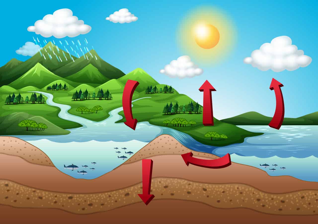Rappresentazione del ciclo dell'acqua