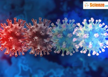 E' possibile contrarre il virus in tempi molto ravvicinati