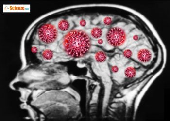 Gli effetti del Covid-19 a livello cerebrale