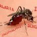 Le malattie, anche pericolose, portate da alcune specie di zanzare