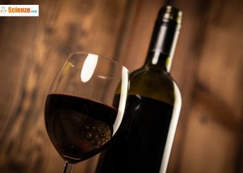 Un modico consumo di alcool fa bene oppure no? Il dibattito è sempre aperto
