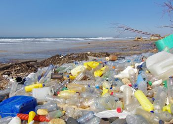 La plastica è una delle emergenze correlate all'inquinamento