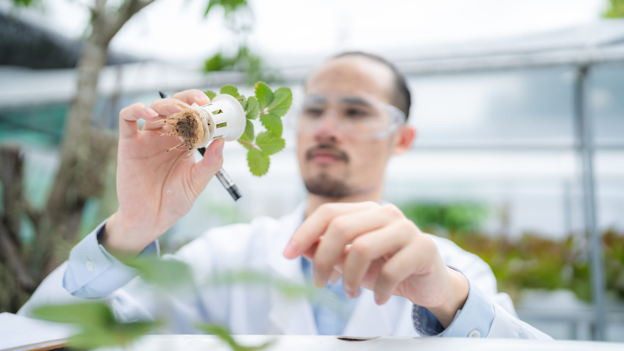 Addio agricoltura tradizionale. Scienziati tedeschi estraggono proteine da aria e acqua