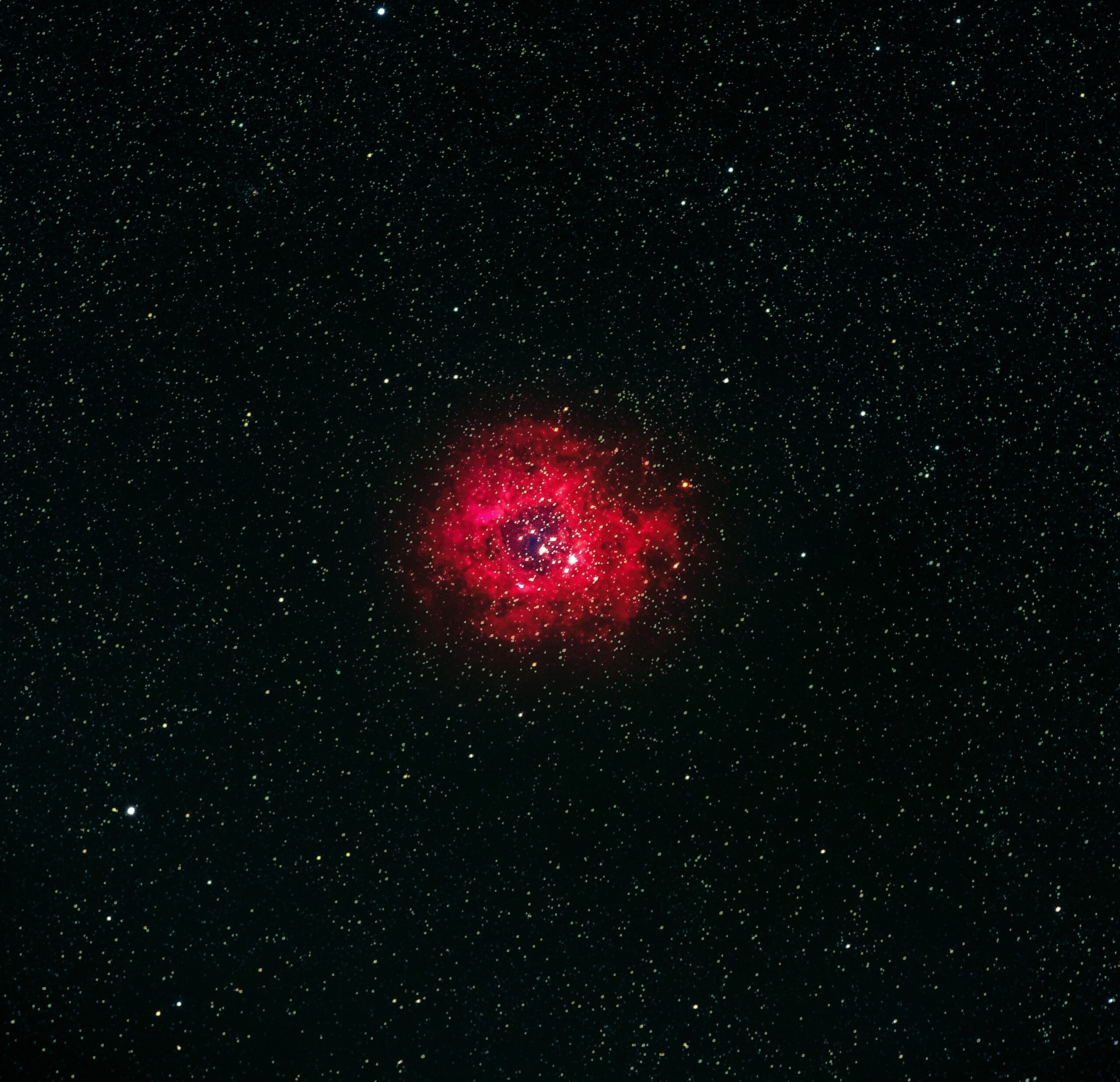 Il super ammasso Westerlund 1 osservato dal telescopio Webb